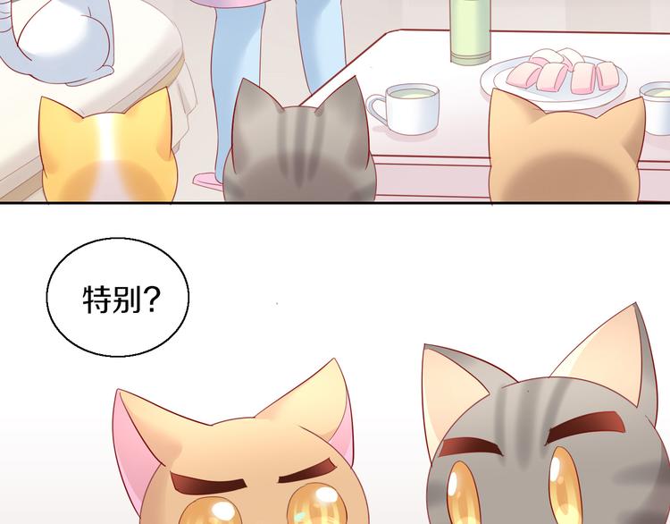 貓爪之下 - 第143話 腮紅鸚鵡(2/2) - 7