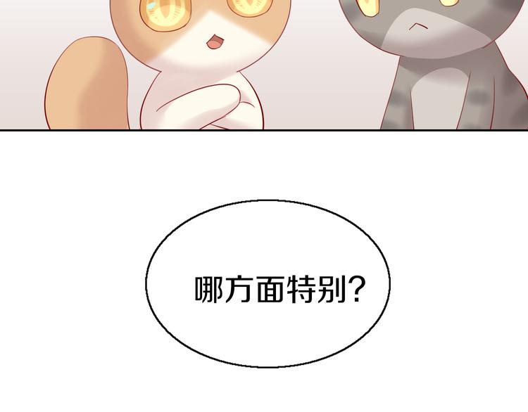 貓爪之下 - 第143話 腮紅鸚鵡(2/2) - 8