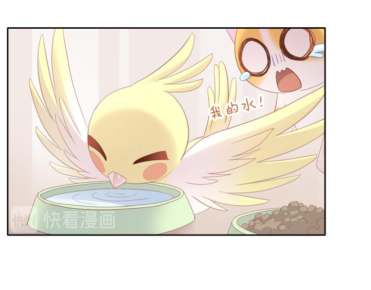 貓爪之下 - 第145話 洗香香(1/2) - 2