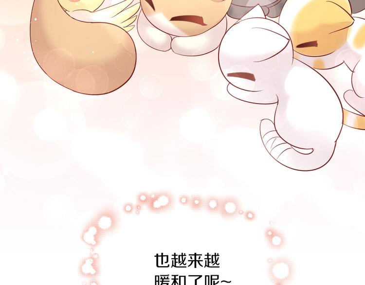 貓爪之下 - 第145話 洗香香(2/2) - 5