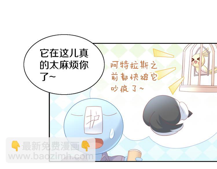貓爪之下 - 第147話 走花路吧！皮卡！(1/2) - 5