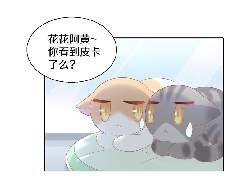 貓爪之下 - 第147話 走花路吧！皮卡！(1/2) - 1