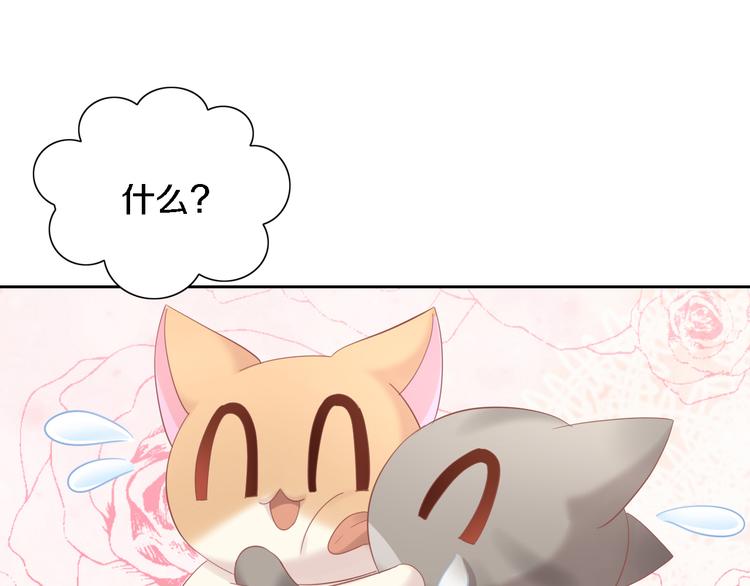 貓爪之下 - 第147話 走花路吧！皮卡！(1/2) - 3