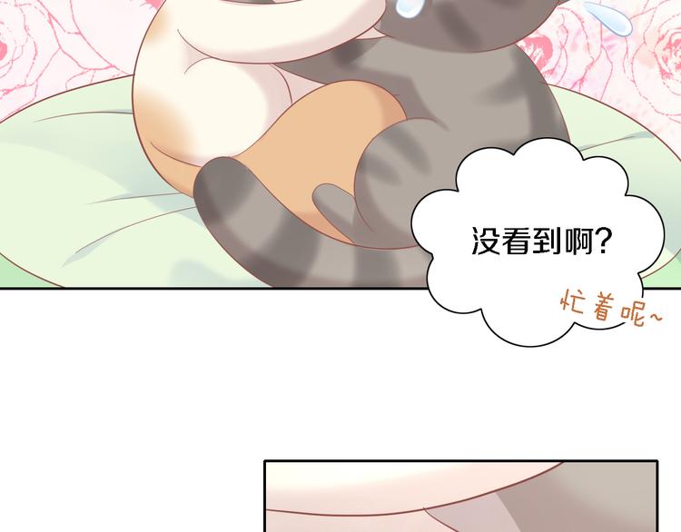 貓爪之下 - 第147話 走花路吧！皮卡！(1/2) - 4