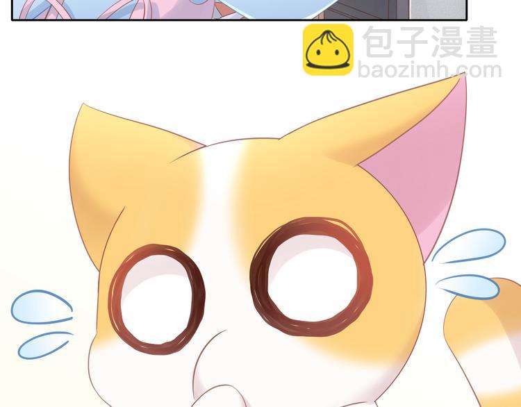 貓爪之下 - 第147話 走花路吧！皮卡！(1/2) - 1