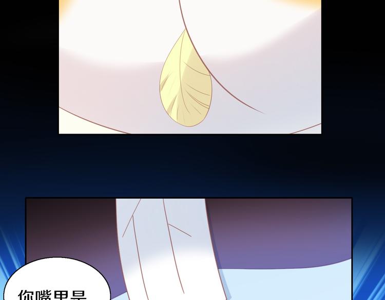 貓爪之下 - 第147話 走花路吧！皮卡！(1/2) - 3