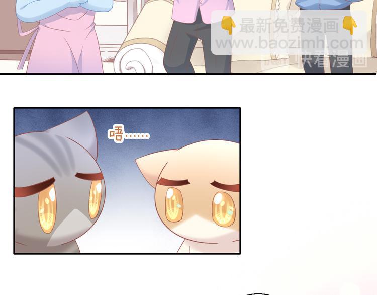 貓爪之下 - 第147話 走花路吧！皮卡！(2/2) - 1