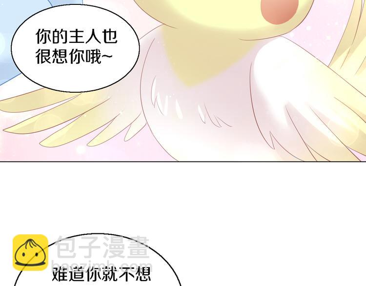 貓爪之下 - 第147話 走花路吧！皮卡！(2/2) - 3