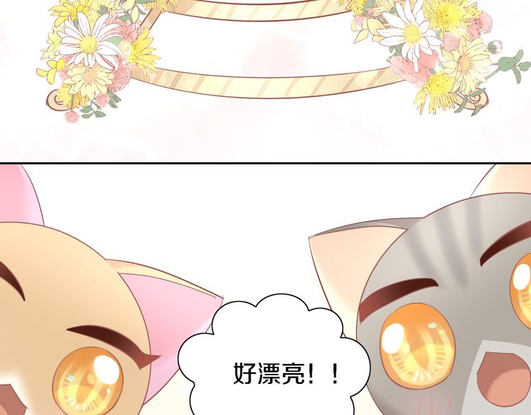 貓爪之下 - 第147話 走花路吧！皮卡！(2/2) - 5