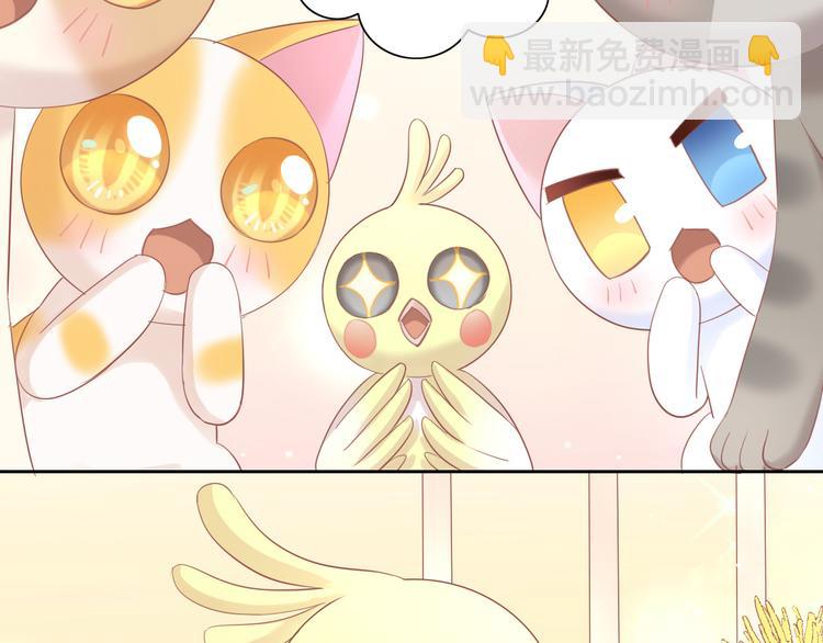 貓爪之下 - 第147話 走花路吧！皮卡！(2/2) - 6