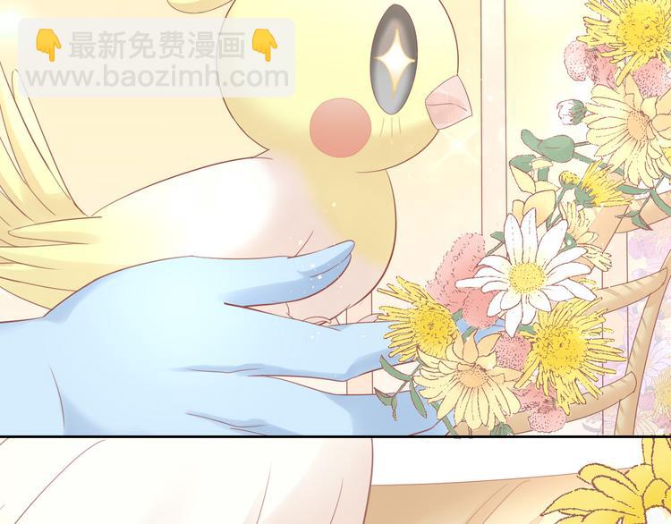 貓爪之下 - 第147話 走花路吧！皮卡！(2/2) - 7