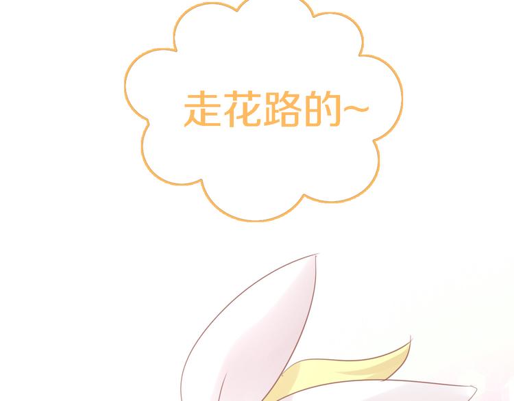 貓爪之下 - 第147話 走花路吧！皮卡！(2/2) - 7