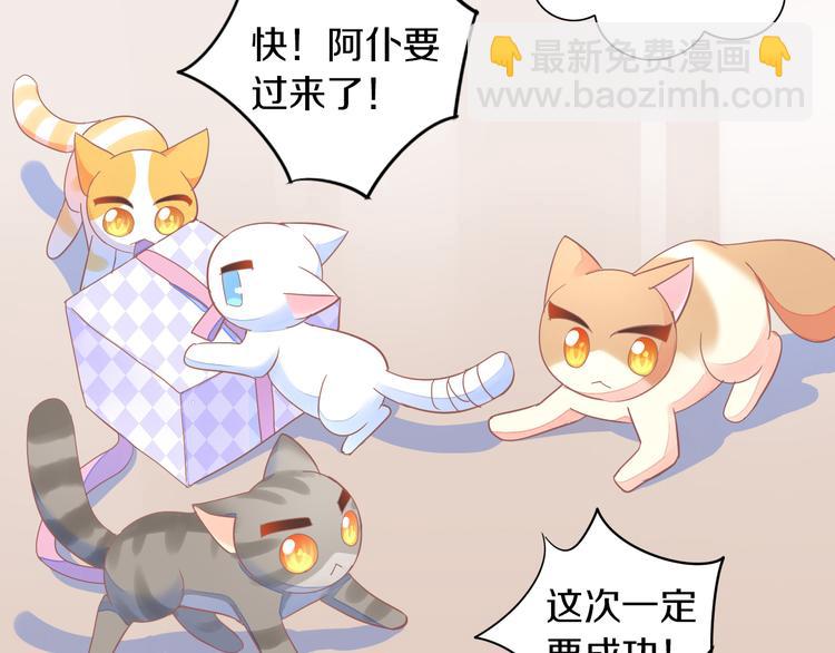 貓爪之下 - 第167話 瘋狂的蛋糕(1/2) - 8