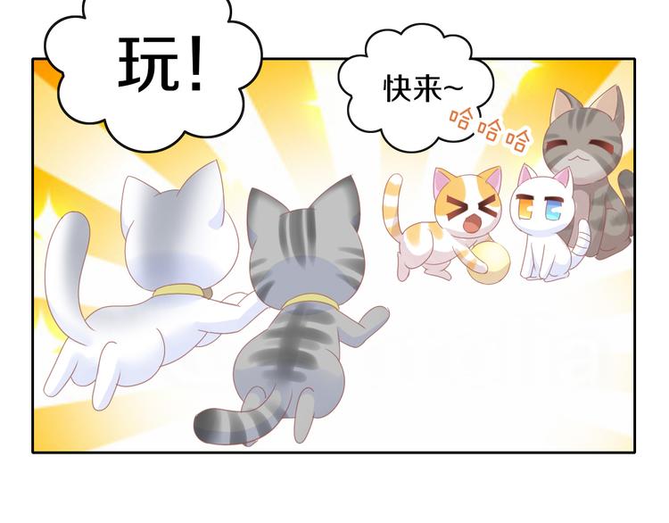 貓爪之下 - 第173話 全員外宿(2/3) - 5
