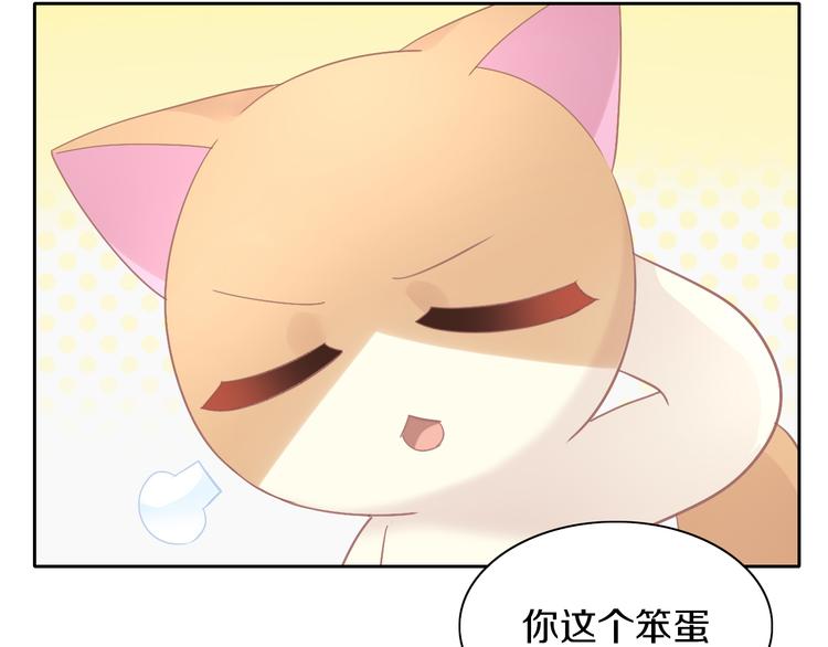貓爪之下 - 第173話 全員外宿(2/3) - 6
