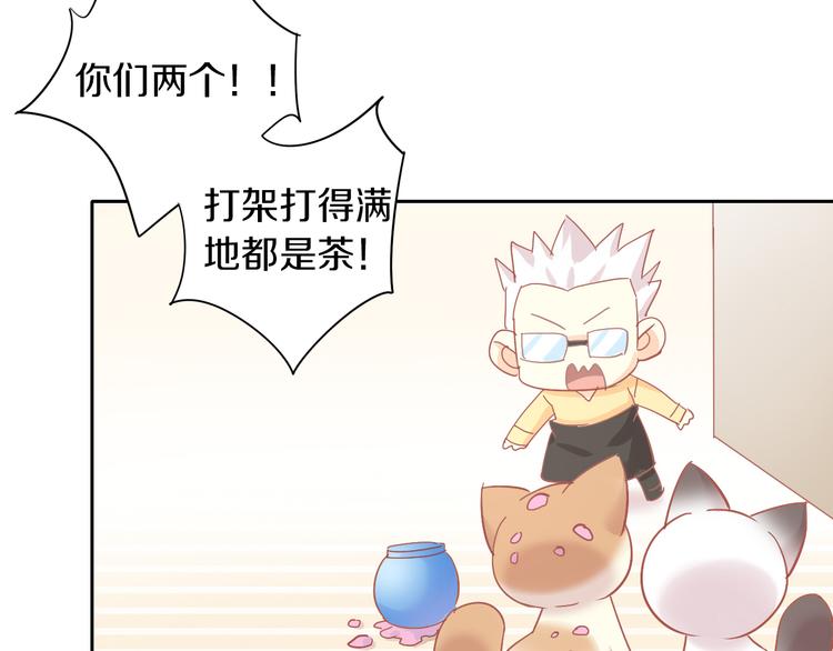 貓爪之下 - 第173話 全員外宿(2/3) - 6