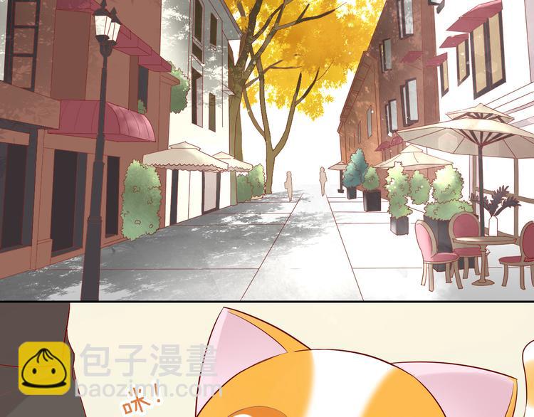 第175话 茶老板的营销学(1/2)-第176话