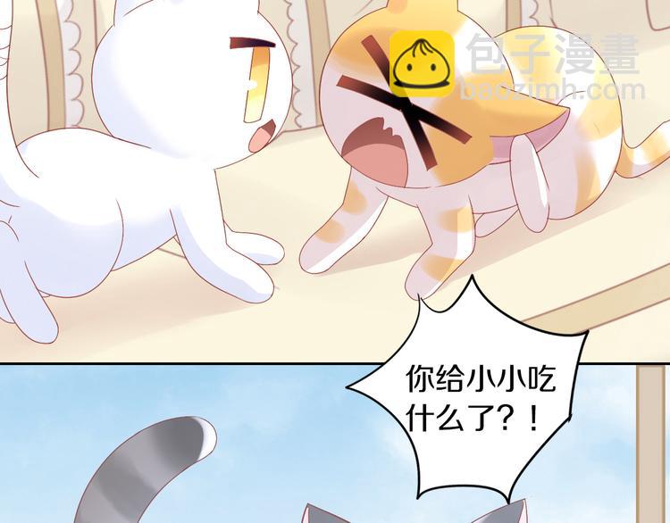 第183话  恼人的耳螨(1/2)-第184话