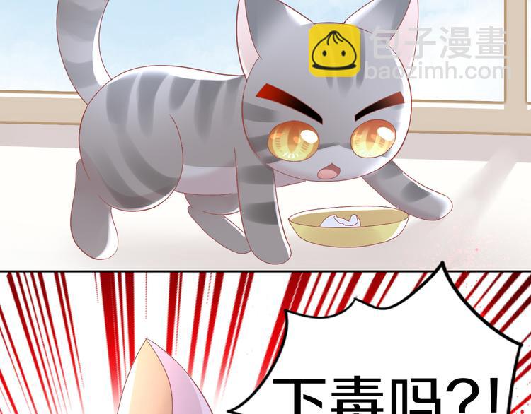 第183话  恼人的耳螨(1/2)-第184话