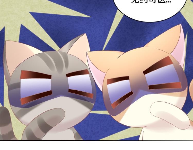 第183话  恼人的耳螨(1/2)-第184话