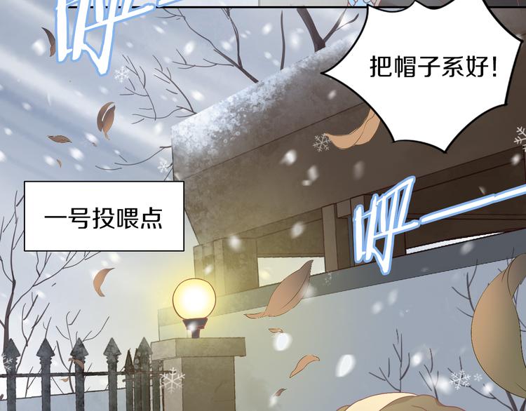 第185话 最初的爱(1/2)-第186话