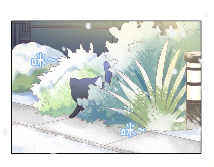 第185话 最初的爱(1/2)-第186话