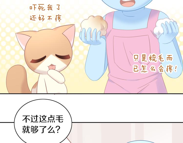 猫爪之下 - 第195话  宠物毛毡(1/2) - 1