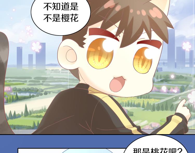 第197话 樱花攻略(1/2)-第198话