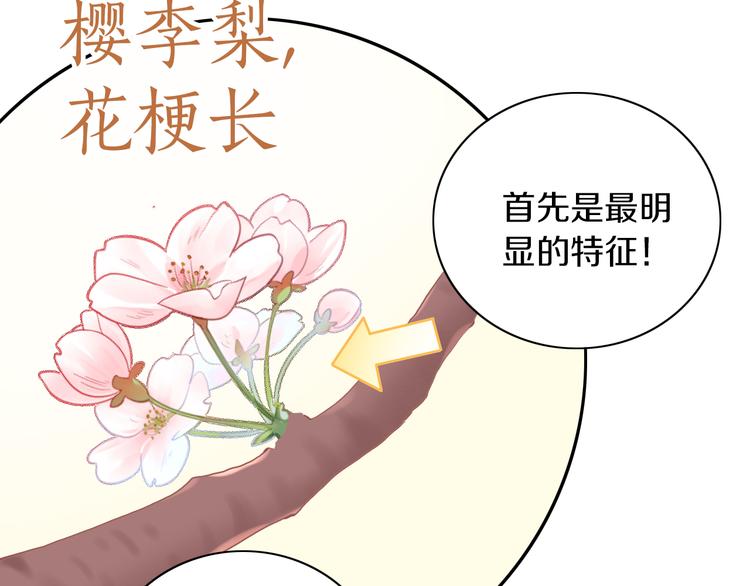 第197话 樱花攻略(1/2)-第198话