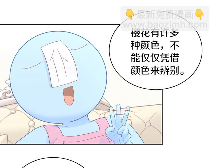 第197话 樱花攻略(1/2)-第198话