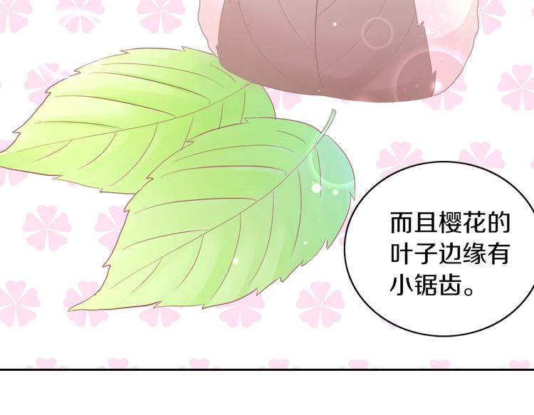 第197话 樱花攻略(1/2)-第198话