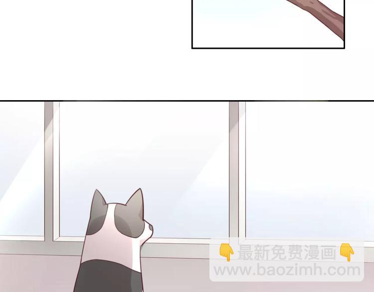 猫爪之下 - 第36话  为什么不爱我！(1/2) - 7