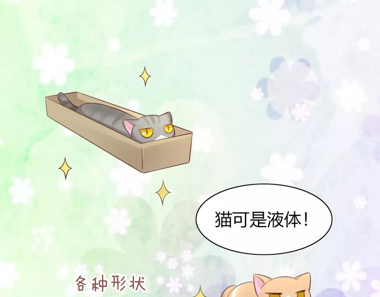貓爪之下 - 第44話 女王屬性？(2/3) - 1
