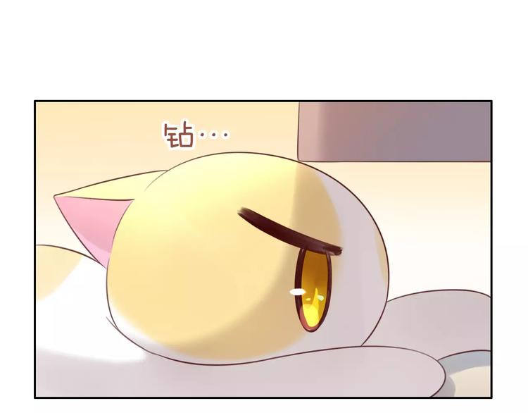 貓爪之下 - 第44話 女王屬性？(2/3) - 4