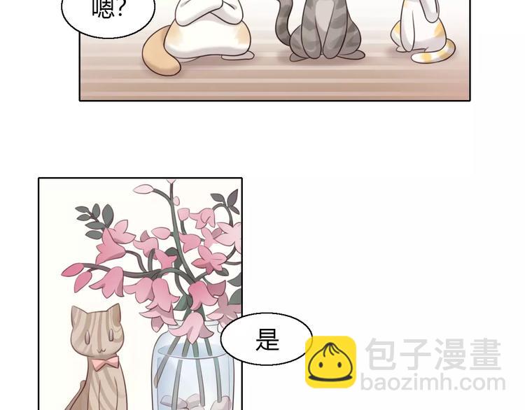 貓爪之下 - 第46話 突然的不捨！(2/2) - 5