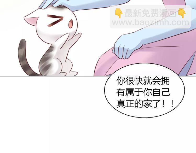 貓爪之下 - 第46話 突然的不捨！(2/2) - 1