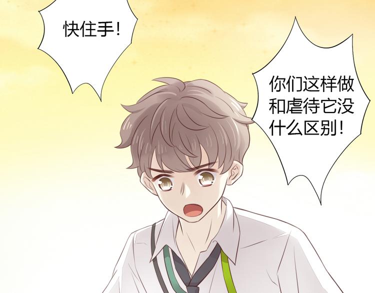 貓爪之下 - 第54話 做你的英雄(2/2) - 5