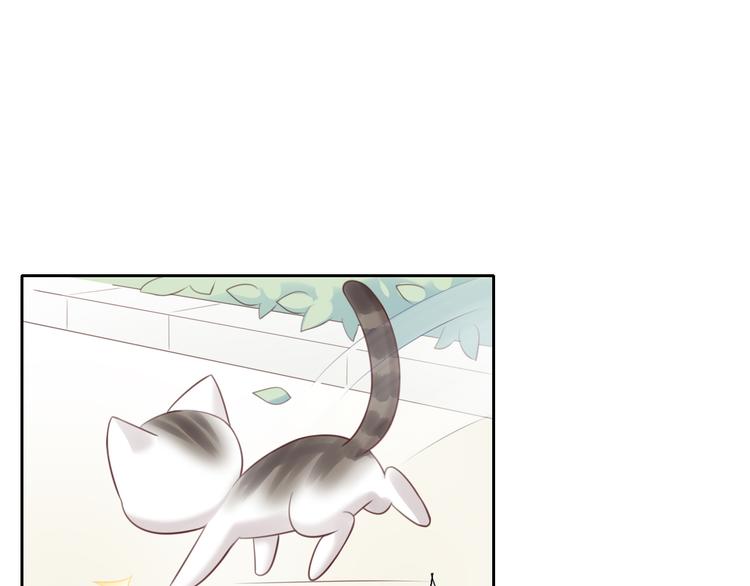 貓爪之下 - 第54話 做你的英雄(2/2) - 4