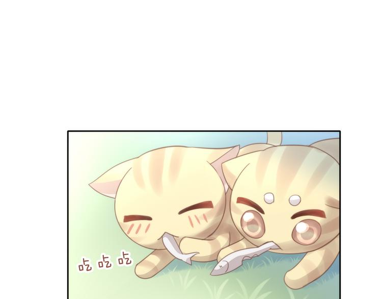 貓爪之下 - 第64話 不速之客(1/2) - 5