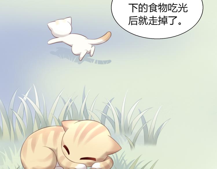 貓爪之下 - 第67話 挽救(2/3) - 5