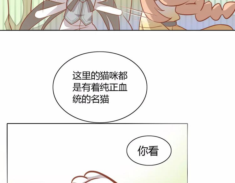 貓爪之下 - 第8話  還是家裡好(2/3) - 6