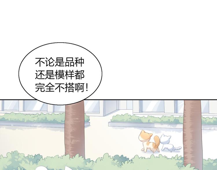 貓爪之下 - 第71話 屬於你的幸福(2/2) - 2