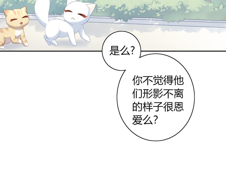 貓爪之下 - 第71話 屬於你的幸福(2/2) - 3
