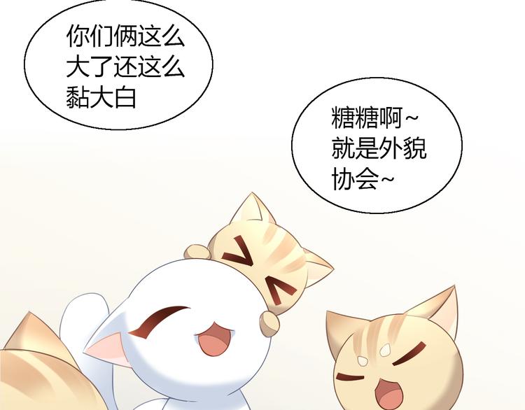 貓爪之下 - 第71話 屬於你的幸福(2/2) - 6