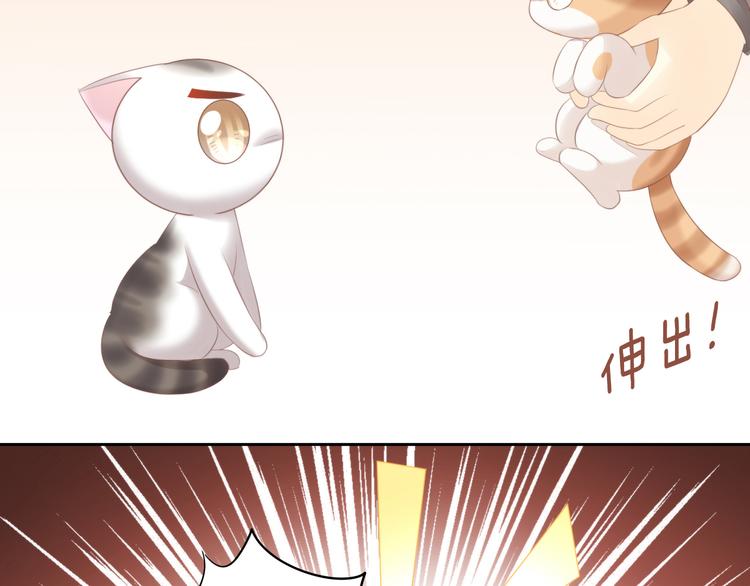 貓爪之下 - 第85話 新夥伴？！(2/2) - 3
