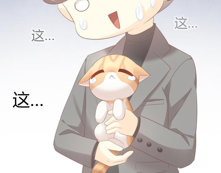 貓爪之下 - 第85話 新夥伴？！(2/2) - 3