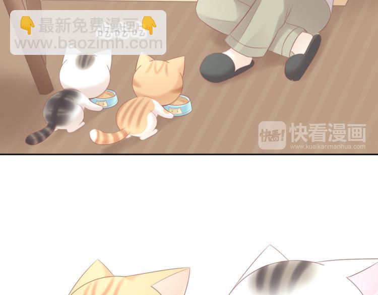 貓爪之下 - 第89話 註定的分離(1/2) - 4