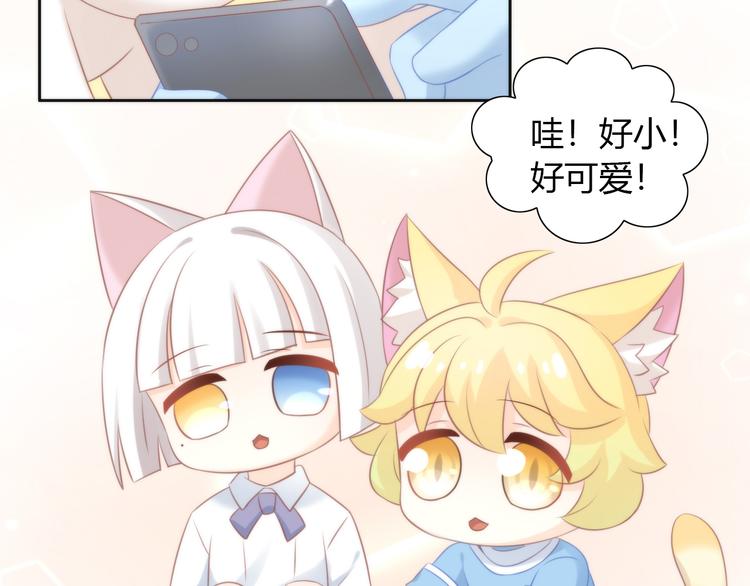 貓爪之下 - 第89話 註定的分離(2/2) - 4