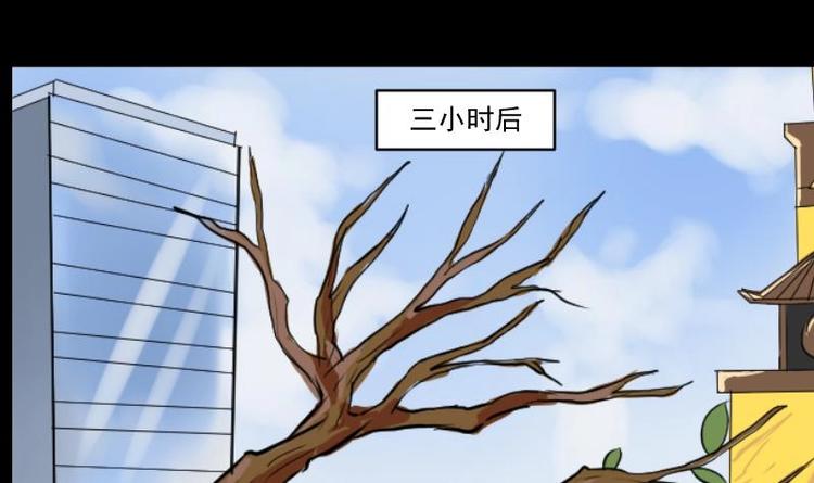麻衣神算子 - 第13話 王道長（三）(1/2) - 1