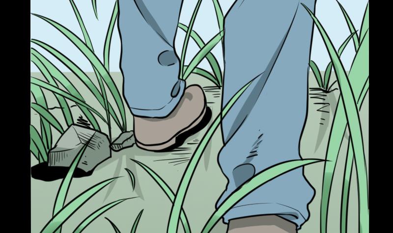 第45话 无底洞钻心草(1/2)-第46话